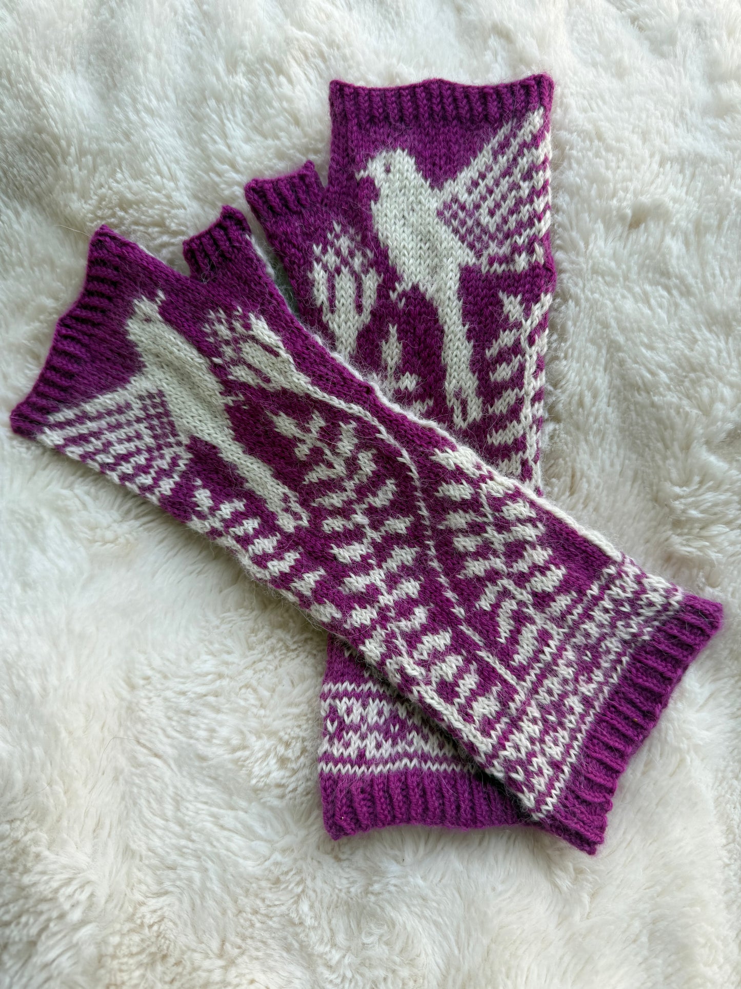 Fingerless Gloves